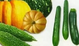 qq吃瓜免费吃瓜,畅享娱乐盛宴！