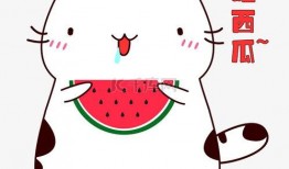 吃瓜表情包横屏下载免费,免费下载表情包新潮流