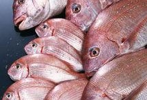 博主爆料鲈鱼是真的吗视频,鲈鱼真相大揭秘！视频曝光惊人内幕