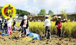 快乐肉类农场爆料视频,农场爆料视频背后的真实故事