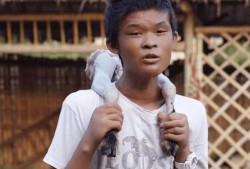 小马云直播爆料视频大全,独家爆料视频大全汇总