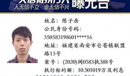 南安最新爆料,揭秘事件背后惊人真相