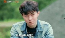 陈新颖变形计在线观看,蜕变之旅，见证成长与蜕变