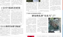 恋情爆料新闻报道稿件,揭秘明星甜蜜瞬间