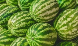 今日吃瓜热门大瓜免费观看,免费观看，揭秘娱乐圈幕后真相！