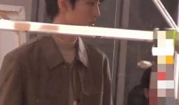 狗仔最新爆料王俊凯视频,狗仔最新爆料揭秘明星生活