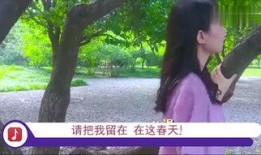 春天里31集在线观看,揭秘剧情高潮与情感纠葛