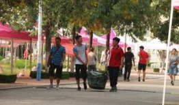 山东学校爆料新闻视频,揭秘校园内幕，真相令人震惊