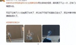 辰飞原爆料视频,幕后真相大起底