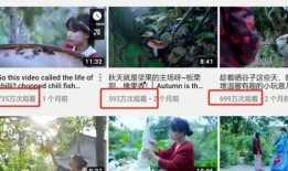 李子柒爆料视频