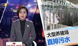 今日一线可以爆料吗?,揭秘娱乐圈幕后真相