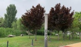 西安世博园爆料最新消息,揭秘精彩亮点与未来规划