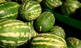 民大某网红吃瓜事件,揭秘校园热点背后的真相