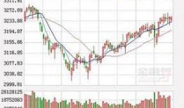 海外最新爆料 股灾,股灾背后的惊心动魄