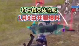 11月和平精英爆料最新,神秘新内容即将揭晓，敬请期待！