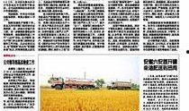 四川新闻爆料石油事件,突发石油泄漏事件引发关注，环保与安全形势紧急应对