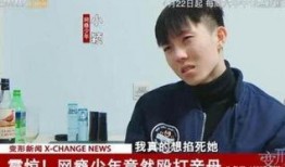 陈新颖变形计在线观看,蜕变之旅，见证成长与蜕变