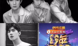 偶像男明星爆料视频,背后爆料视频曝光惊人内幕