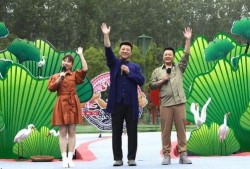 赤峰大鹅被爆料视频最新,真相与争议的交织