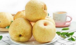 梨梨吃瓜免费阅读,揭秘娱乐圈背后的故事