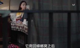 男生爆料小秘密视频,视频曝光惊人内幕