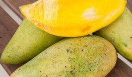 梨梨吃瓜免费阅读,揭秘娱乐圈背后的故事