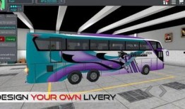 印尼巴士最新爆料飞机场,揭秘飞机场惊人内幕