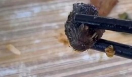 鼠头鸭脖爆料视频大全,真相大白背后的食品安全警示