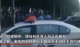 黑车最新爆料新闻事件视频,揭秘背后惊人真相