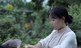 李子柒爆料视频