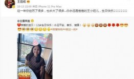 老莫前妻爆料视频,一段尘封往事的惊人真相