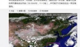 最新爆料台风事件有哪些