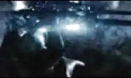 旅行者番外爆料视频大全,揭秘视频大全背后的精彩故事