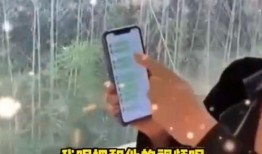 张兰爆料徐妈妈视频全集,揭秘背后惊人内幕