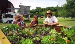 快乐肉类农场爆料视频,农场爆料视频背后的真实故事