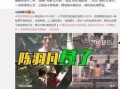 七台河出轨爆料案件视频,惊人真相引发社会热议