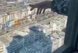 山西临汾一楼爆料视频最新,惊险瞬间引发社会关注